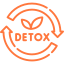 Detoxification (Panchakarma)